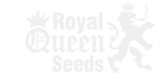 Royal Queen Seeds
