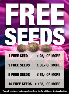 Free Seeds