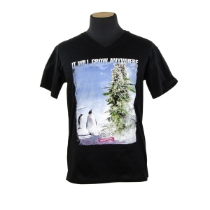 Royal Queen Seeds T-shirt Penguin