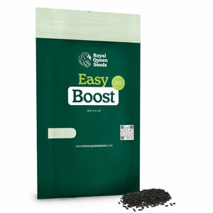 Easy Boost Nutrició Orgànica