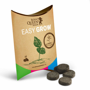 Easy Grow Potenciador Creixement