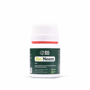 Oli de neem