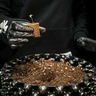 Soil Plugs