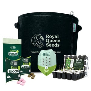 Kit de cultiu de marihuana per a principiants