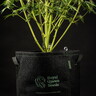 Etiquetes de plantes Eco 5 UTS