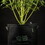 Etiquetes de plantes Eco 5 UTS