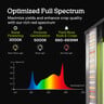 Mars Hydro 80×80×160 Grow Tent Kit