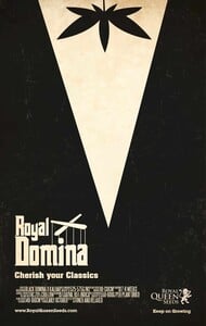 Pòster Royal Domina 