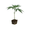 Apple Fritter Clone
