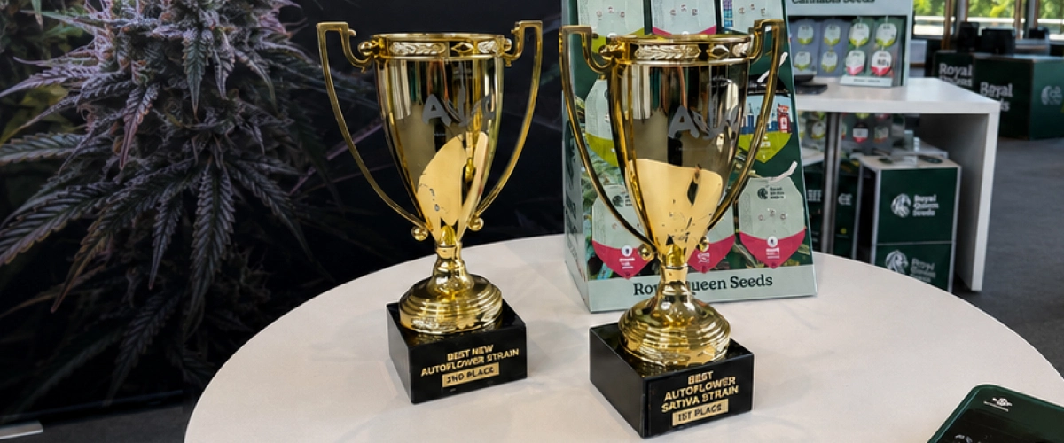 Trainwreck Auto and Gaia F1 Win at Autoflower World Cup Discover Trainwreck Auto and Gaia F1, two Royal Queen Seeds strains awarded at the 2026 Autoflower World Cup.