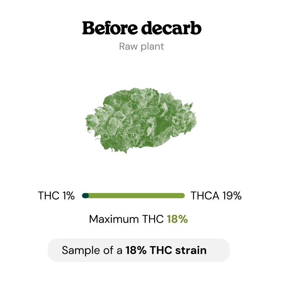At What Temperature Does Decarboxylation Occur?