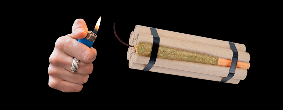 Spezie alla cannabis