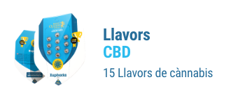 Llavors cbd cannabis