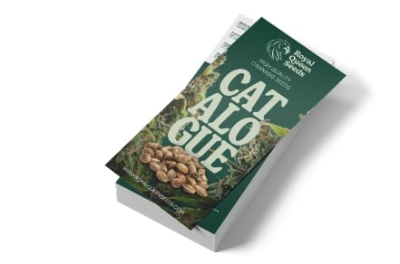 Download our strains catalogue