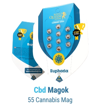 Llavors cbd cannabis