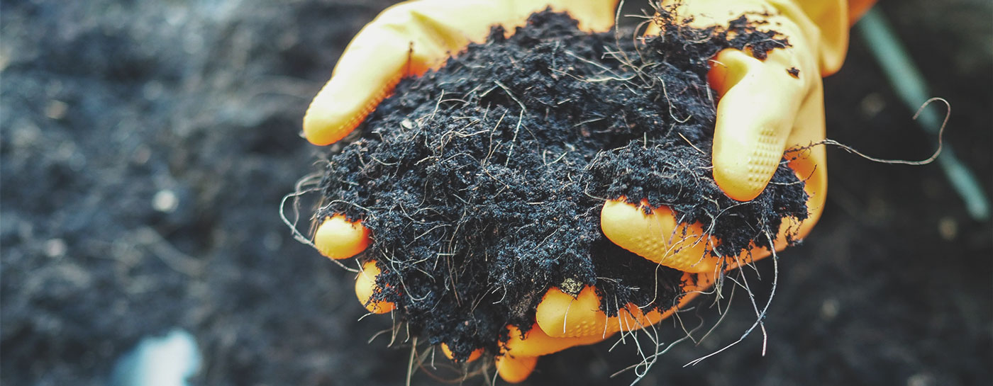 Compost Soil Compost Soil