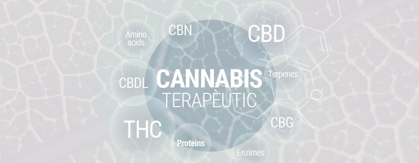 Cànnabis Terapèutic - Guia completa de la marihuana medicinal