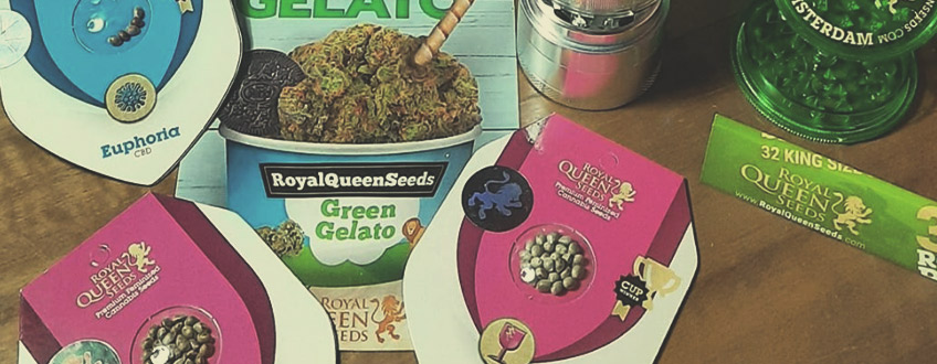 Free Cannabis Seeds and Merchandise