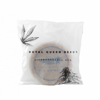 Free feminized cannabis seeds with your order Free feminized cannabis seeds with your order