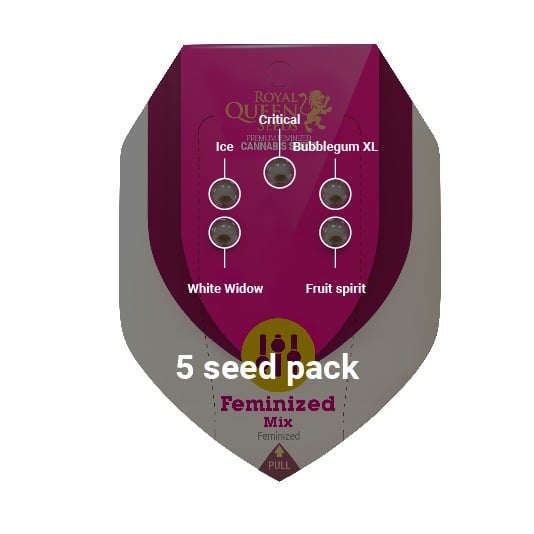 5 Seed RQS Feminised Mix