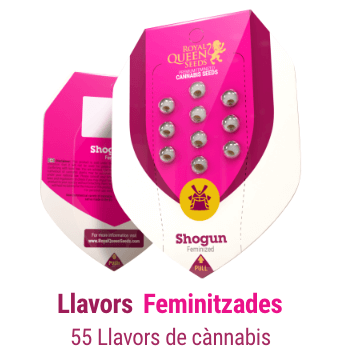 Llavors feminitzades cannabis
