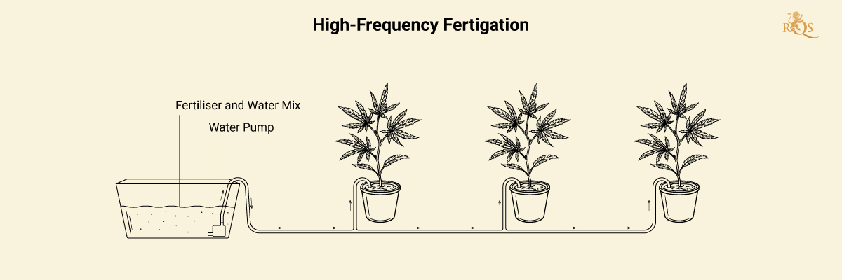 Fertigation in Cannabis Fertigation in Cannabis