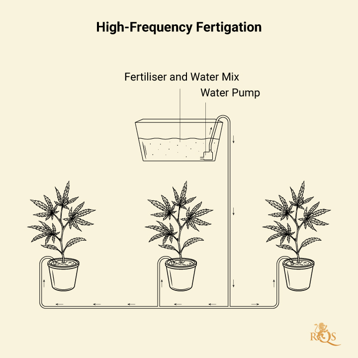 Fertigation in Cannabis Fertigation in Cannabis