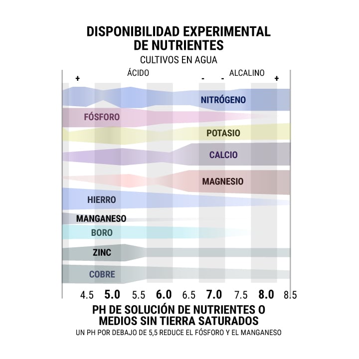 Disponibilidad Experimental De Nutrientes Cultivos En Agua