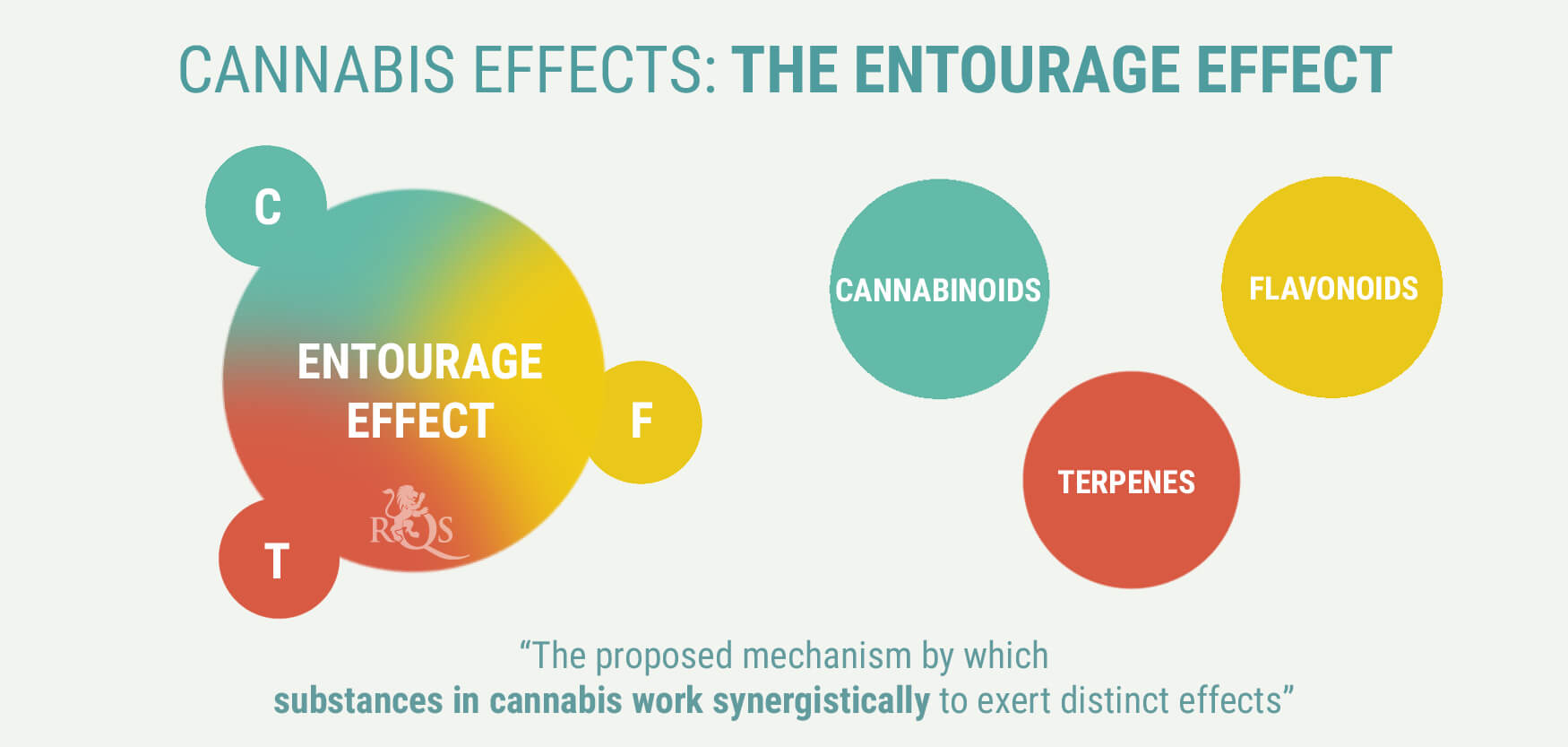 The Entourage Effect The Entourage Effect