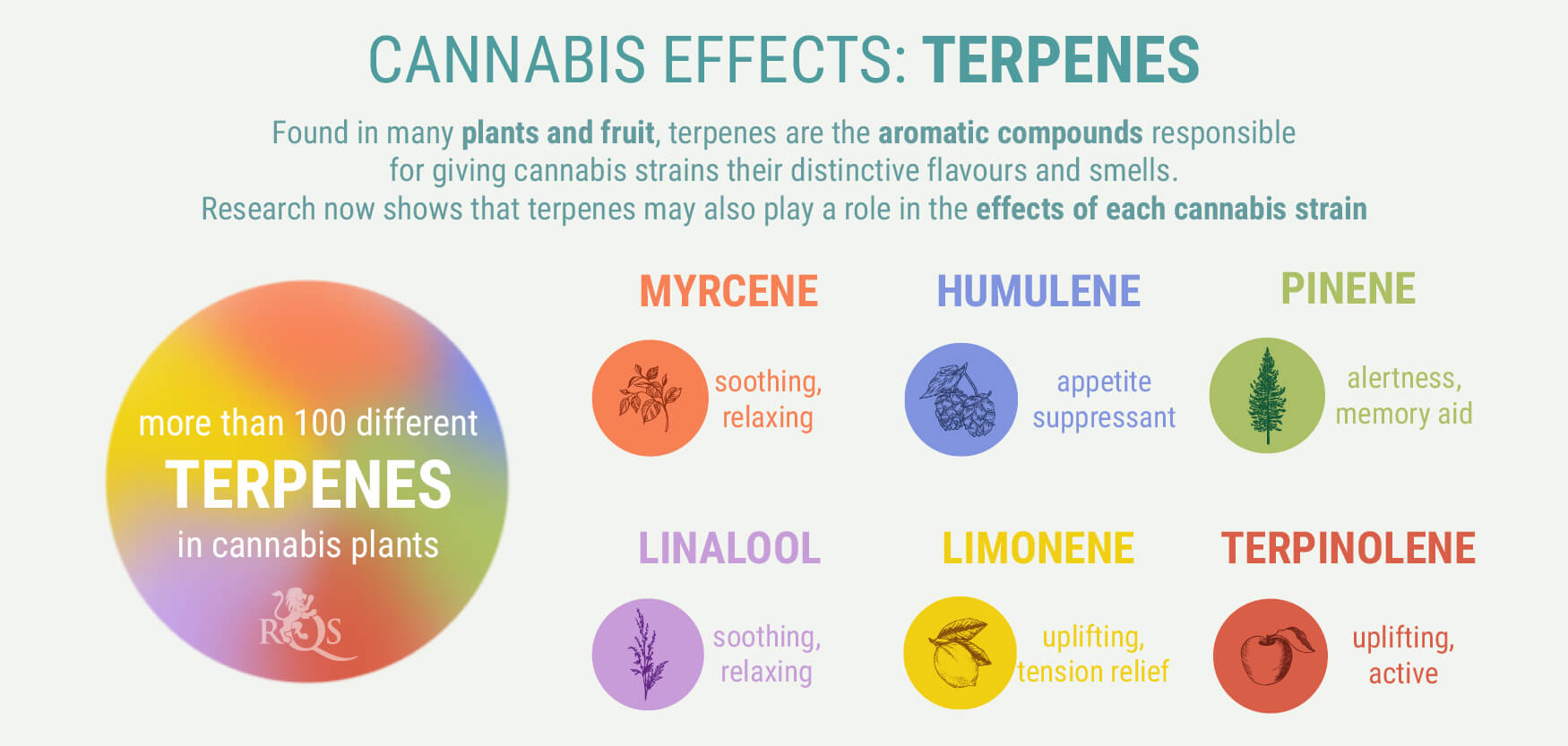 Terpenes Terpenes