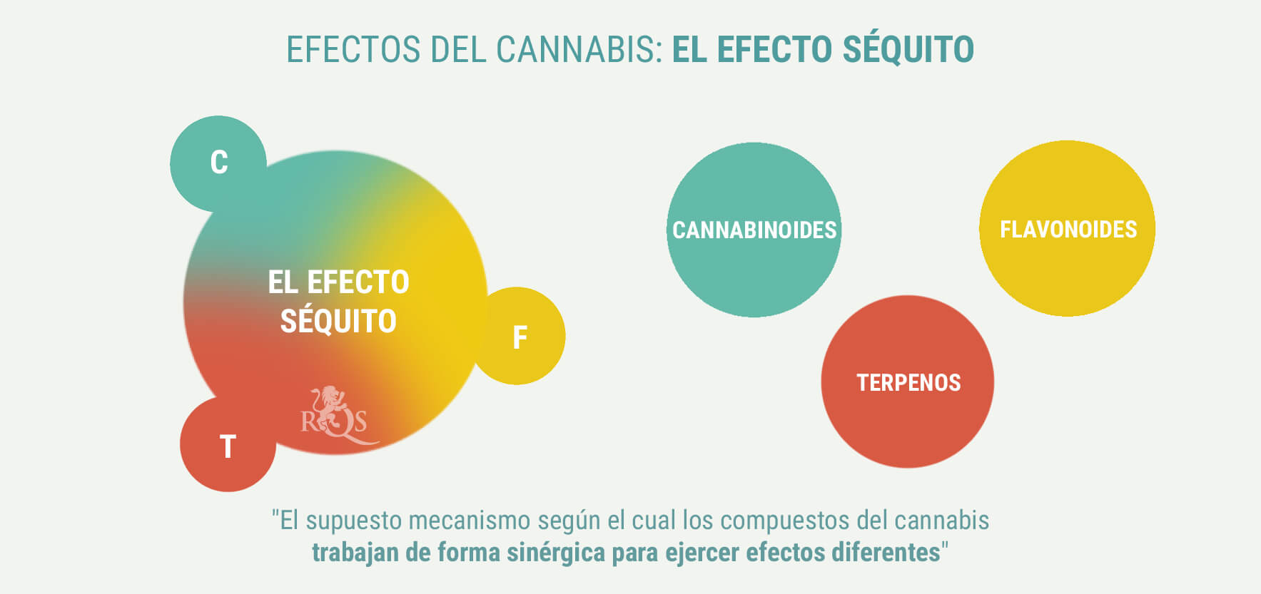 PRODUEIXEN EFECTES DIFERENTS LES ÍNDIQUES I LES SATIVES? PRODUEIXEN EFECTES DIFERENTS LES ÍNDIQUES I LES SATIVES?