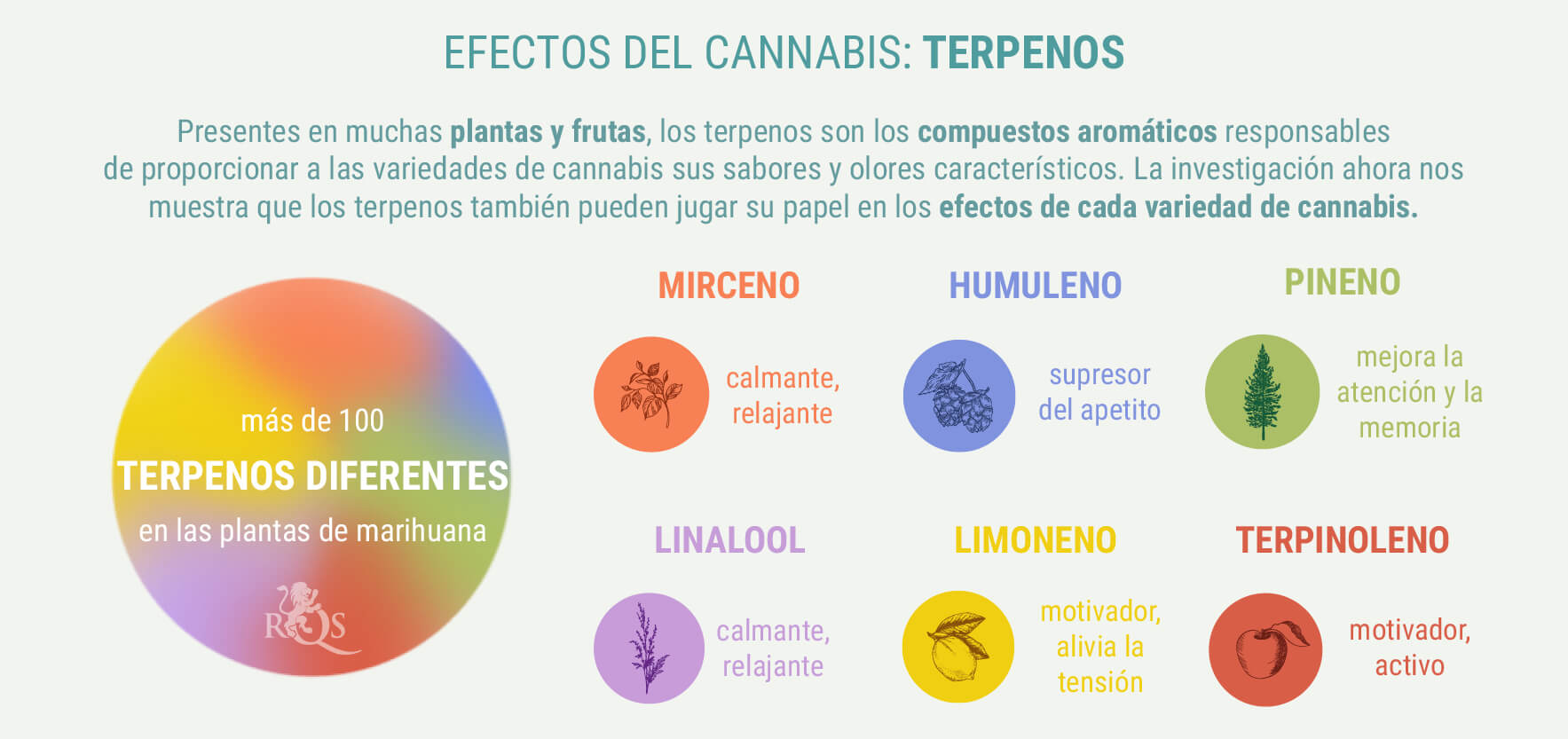 COMBINACIONS A MESURA DE GENÈTICA ÍNDICA I SATIVA COMBINACIONS A MESURA DE GENÈTICA ÍNDICA I SATIVA