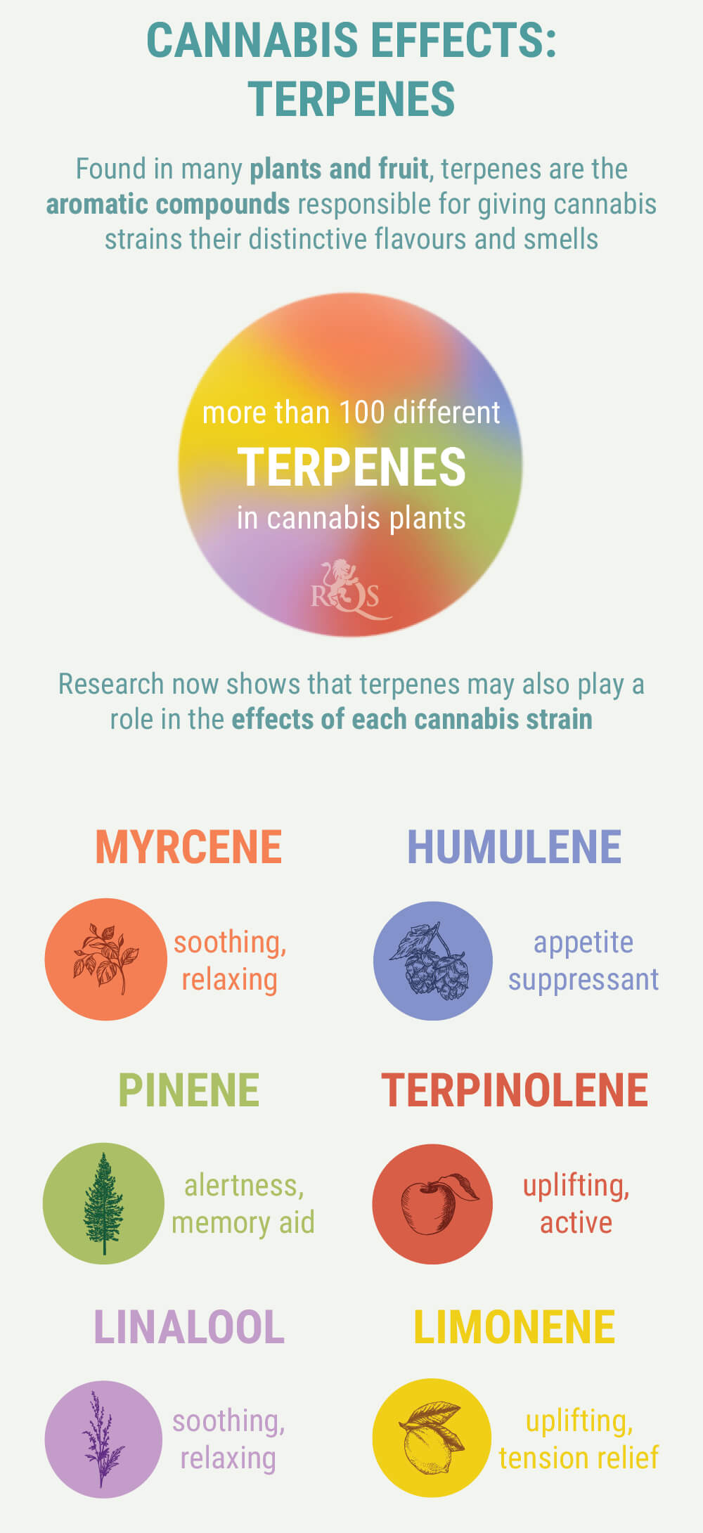 Terpenes Terpenes