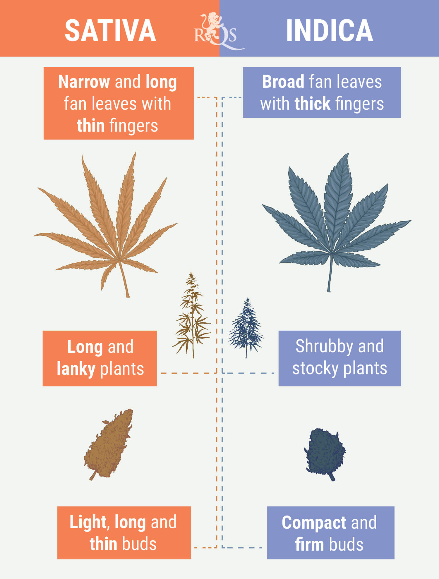Sativa vs Indica Sativa vs Indica