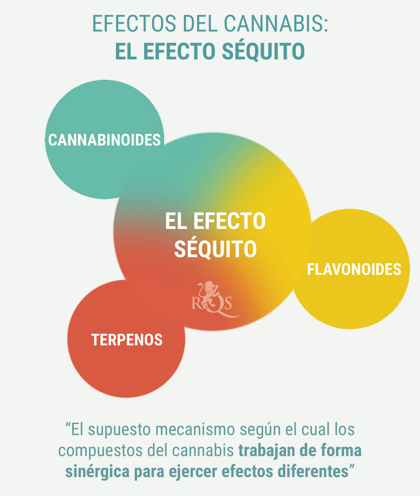 PRODUEIXEN EFECTES DIFERENTS LES ÍNDIQUES I LES SATIVES? PRODUEIXEN EFECTES DIFERENTS LES ÍNDIQUES I LES SATIVES?