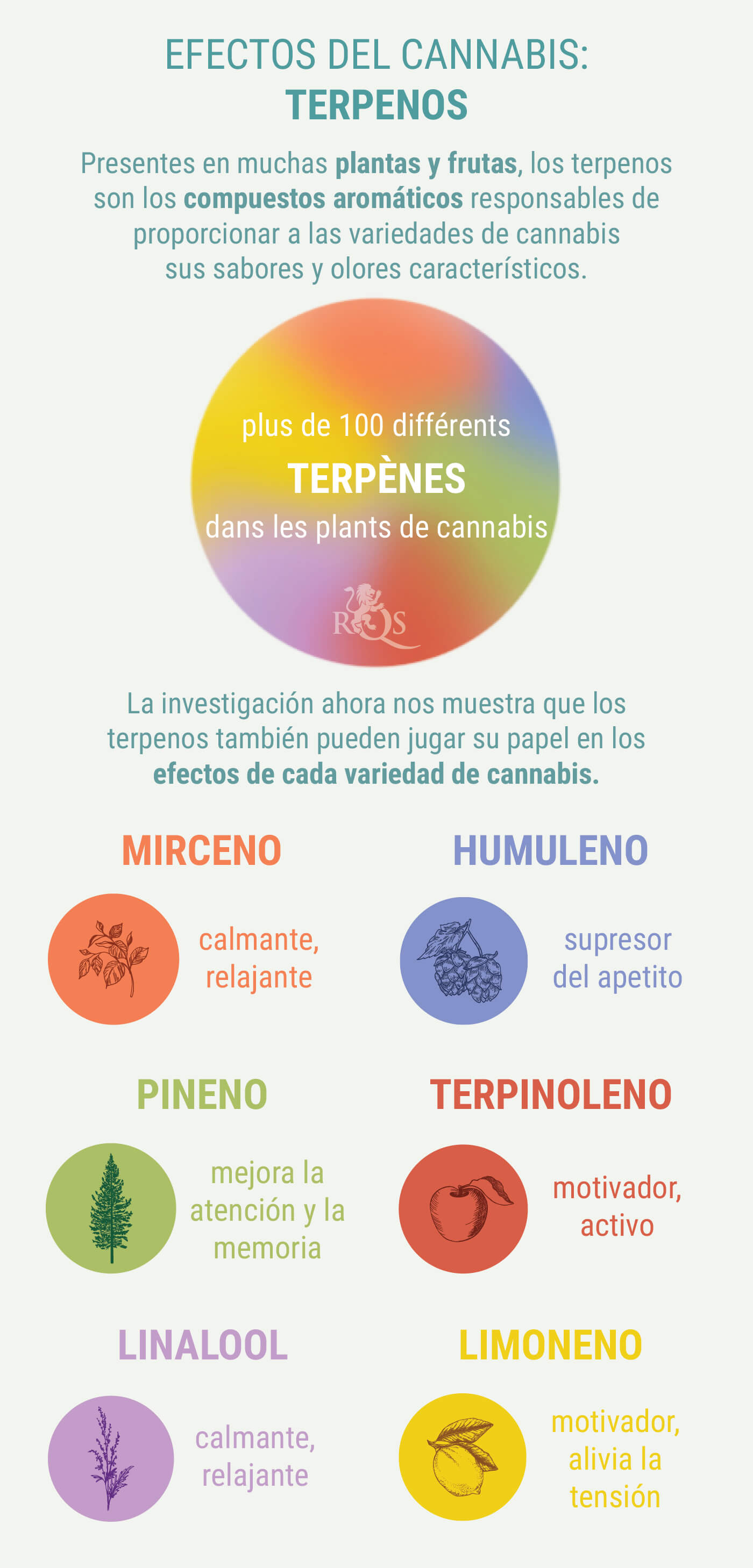 COMBINACIONS A MESURA DE GENÈTICA ÍNDICA I SATIVA COMBINACIONS A MESURA DE GENÈTICA ÍNDICA I SATIVA
