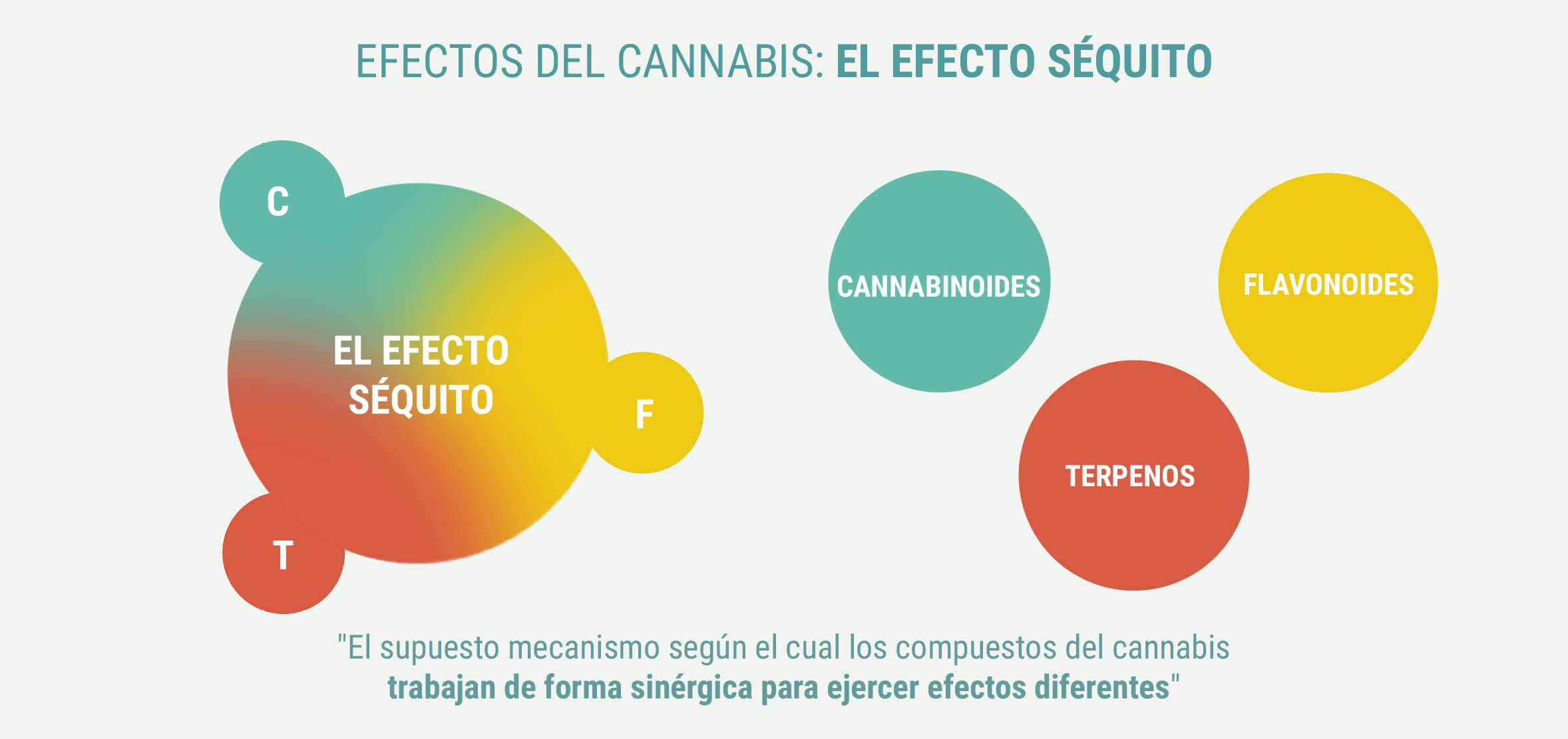 PRODUEIXEN EFECTES DIFERENTS LES ÍNDIQUES I LES SATIVES?