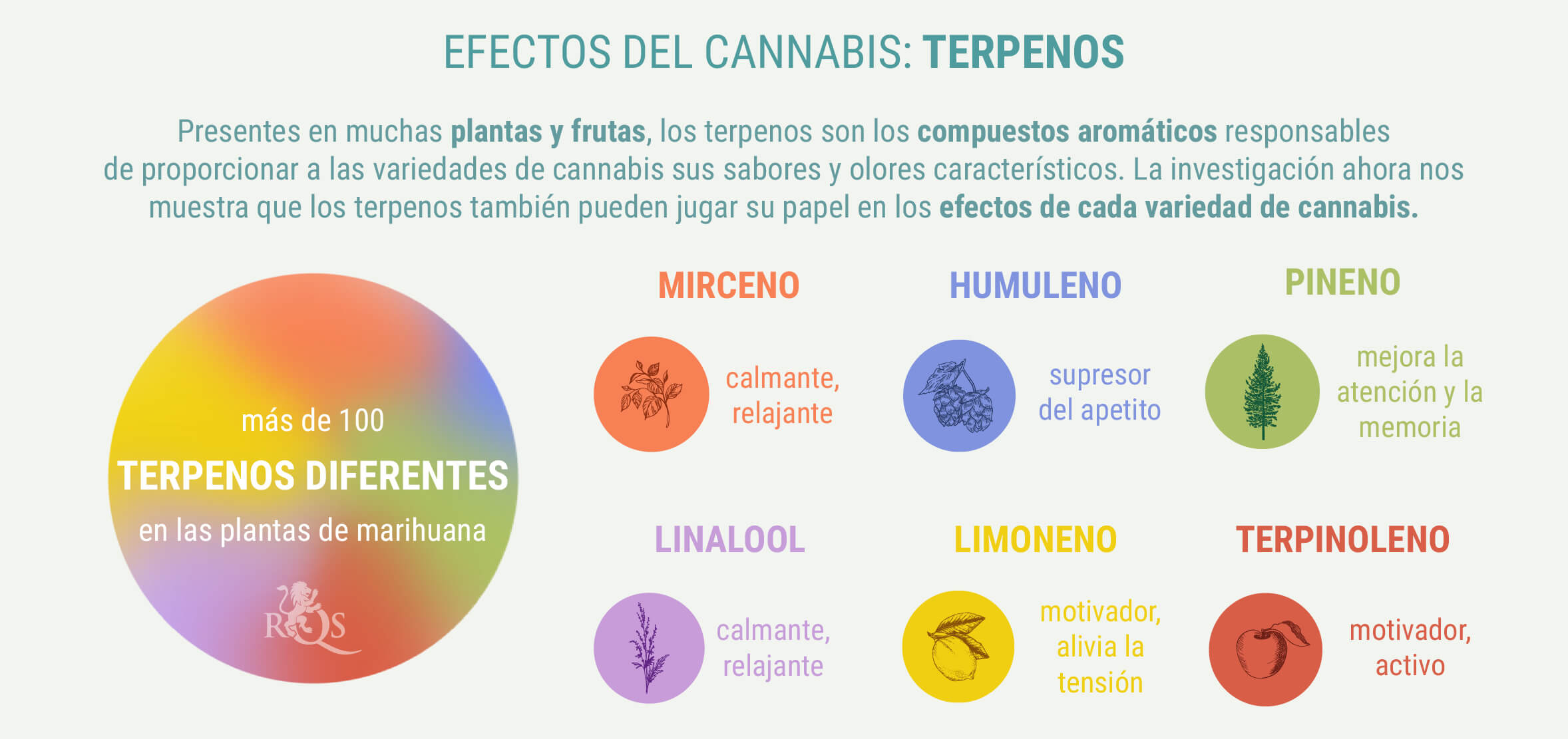 COMBINACIONS A MESURA DE GENÈTICA ÍNDICA I SATIVA