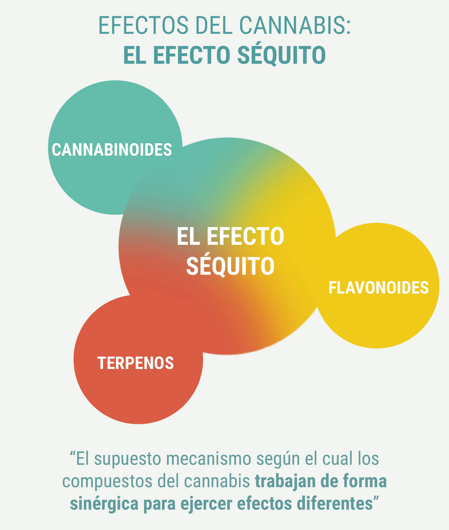 PRODUEIXEN EFECTES DIFERENTS LES ÍNDIQUES I LES SATIVES?