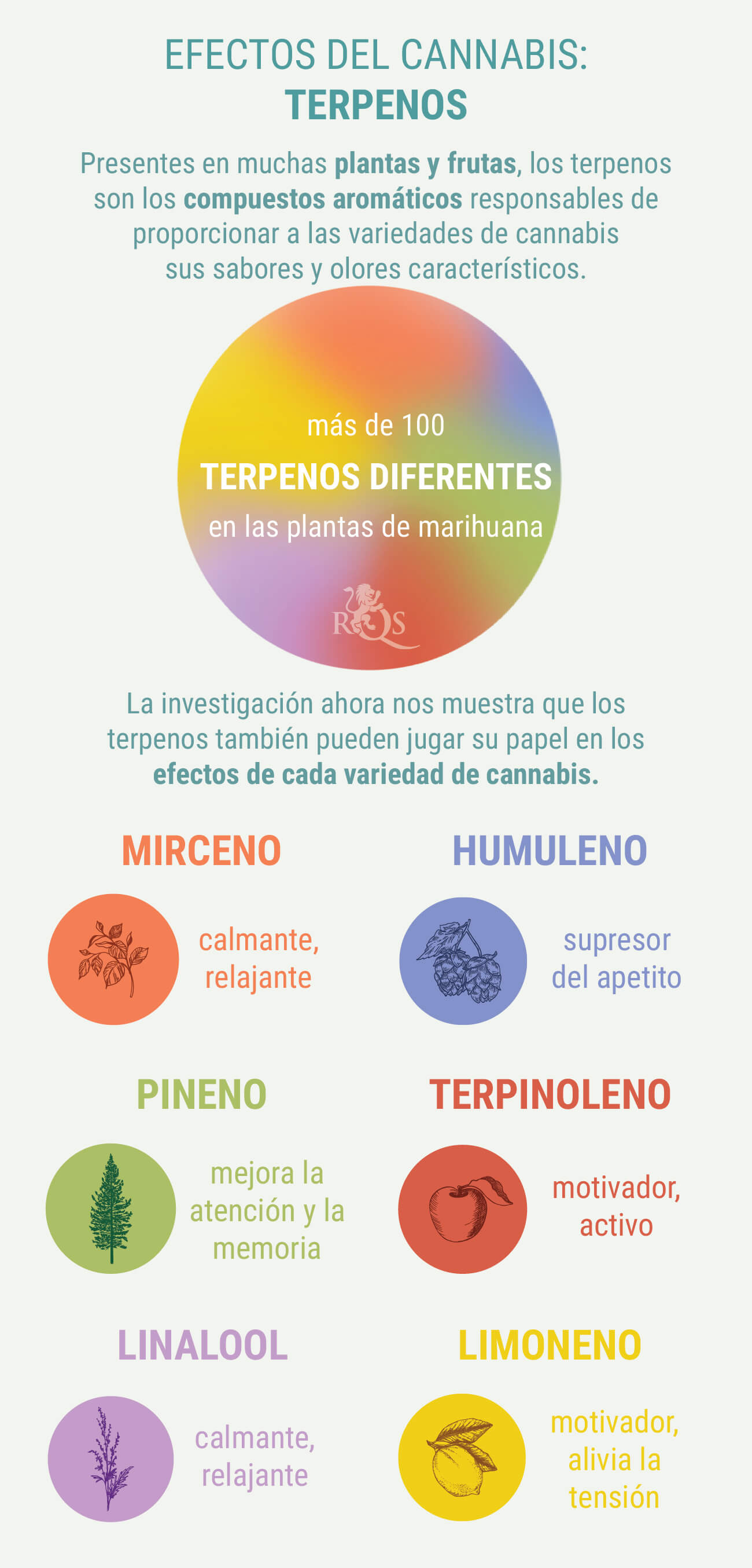 COMBINACIONS A MESURA DE GENÈTICA ÍNDICA I SATIVA