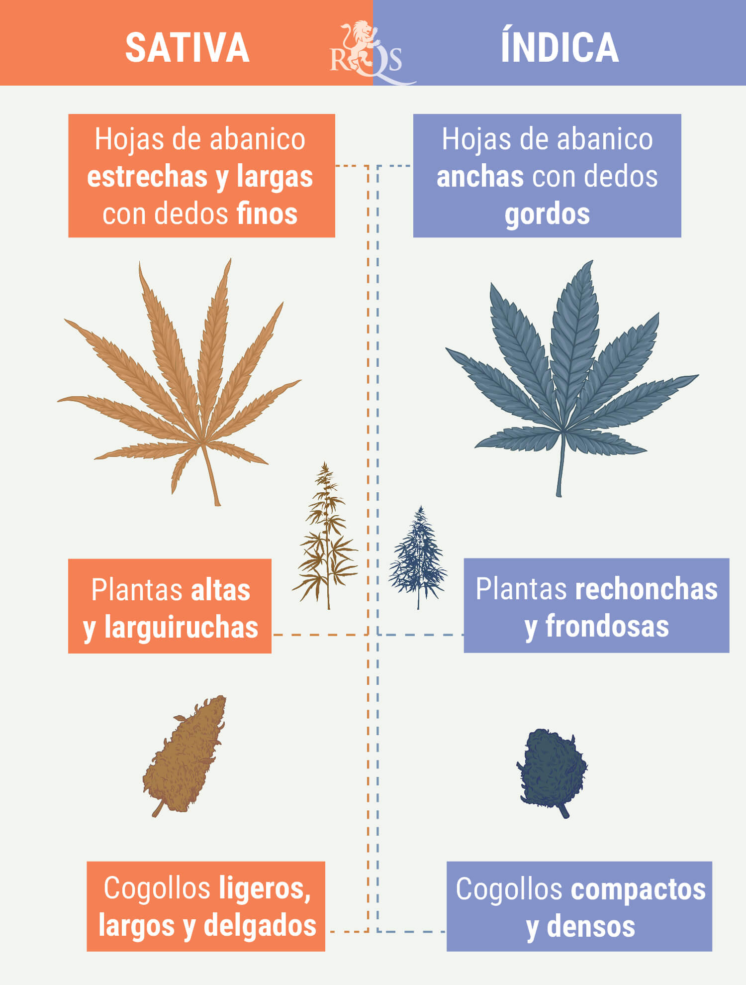 COM DIFERENCIAR ÍNDICA DE SATIVA