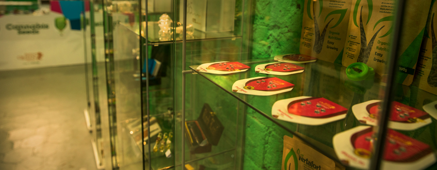 Royal Queen Seeds tiendas Barcelona Carme