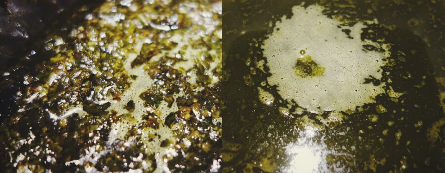 Small Bubbles Created in the Cooking of Cannabis and Butter Small Bubbles Created in the Cooking of Cannabis and Butter