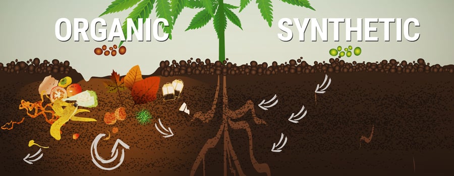 Com i per què fer fertilitzants casolans ecològics Com i per què fer fertilitzants casolans ecològics