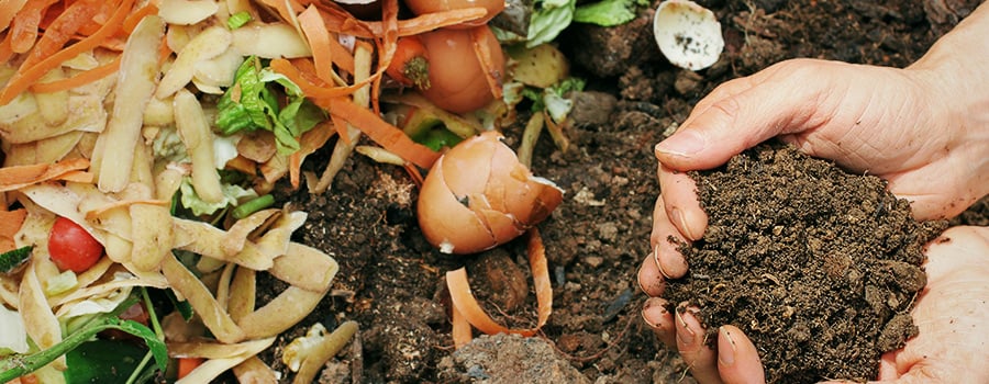 Com i per què fer fertilitzants casolans ecològics Com i per què fer fertilitzants casolans ecològics