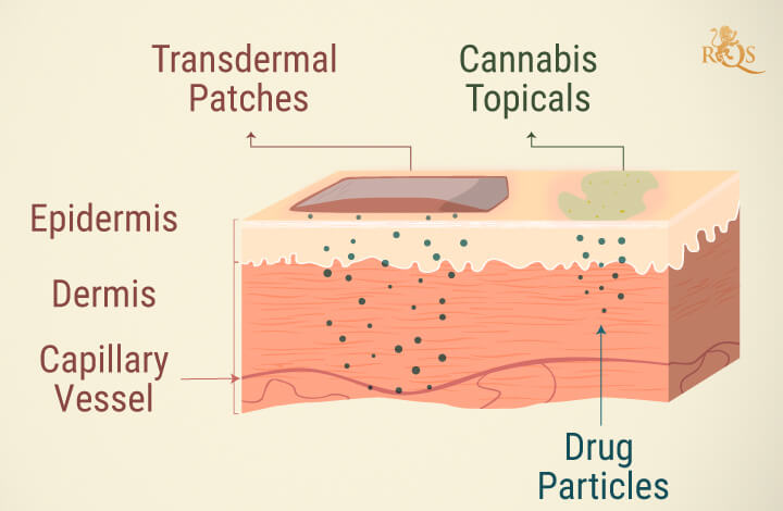Cannabis topicals Cannabis topicals