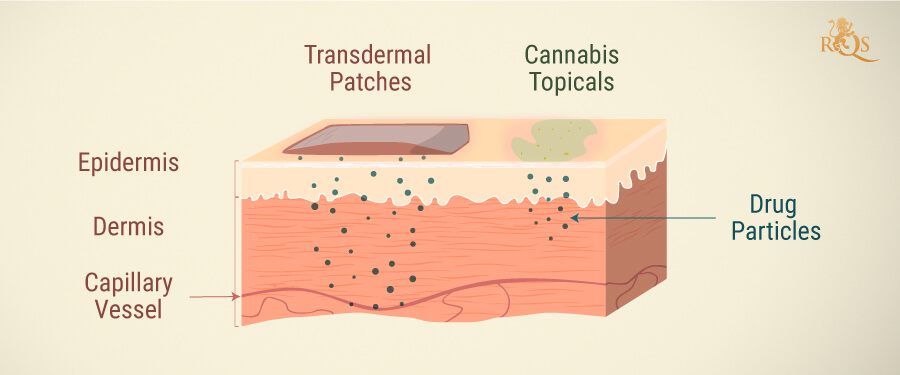 Cannabis topicals Cannabis topicals