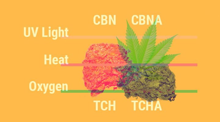Why Does Cannabis Lose Its Potency Over Time? Why Does Cannabis Lose Its Potency Over Time?