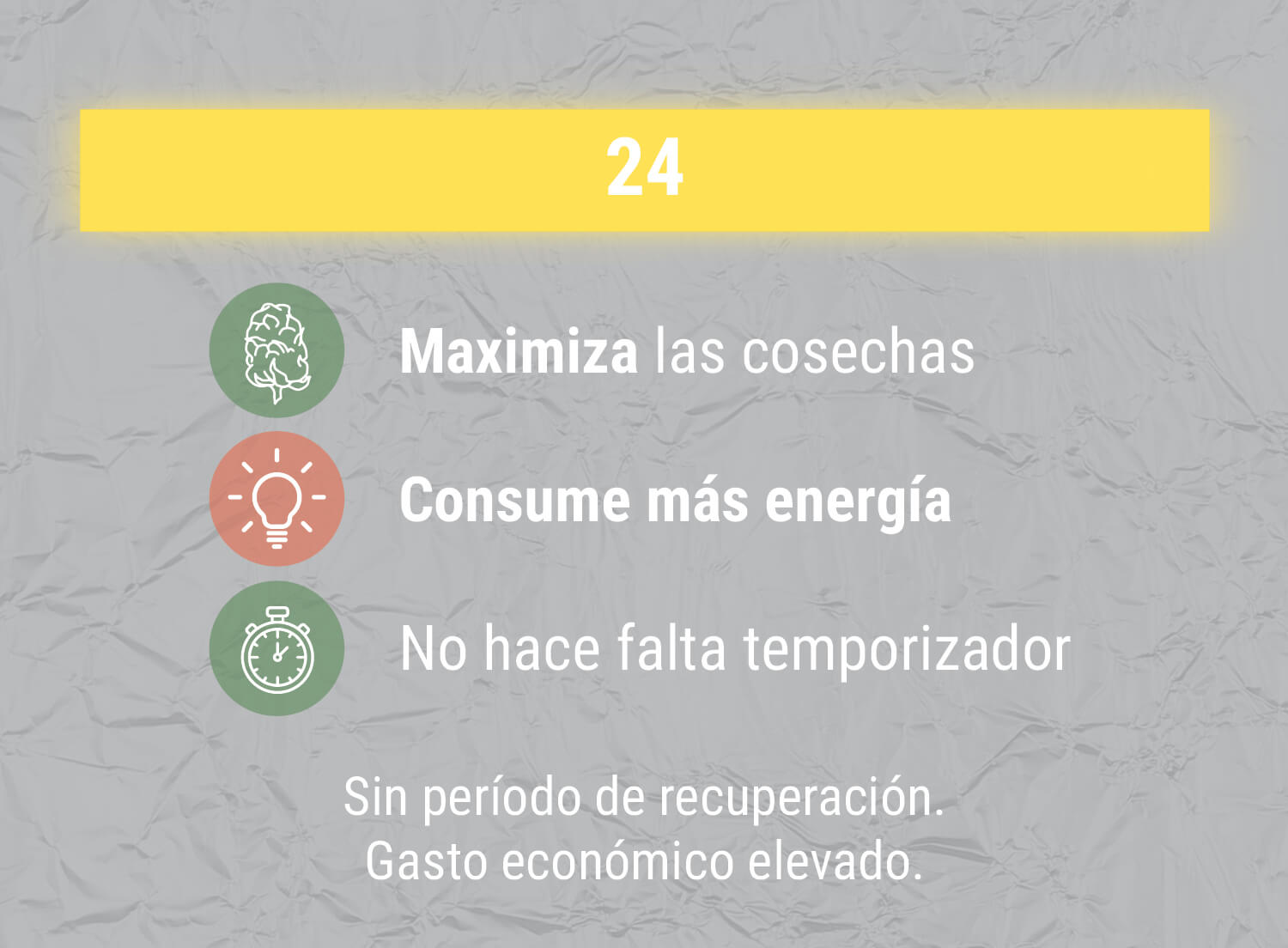 CICLO DE LUZ DE 24H