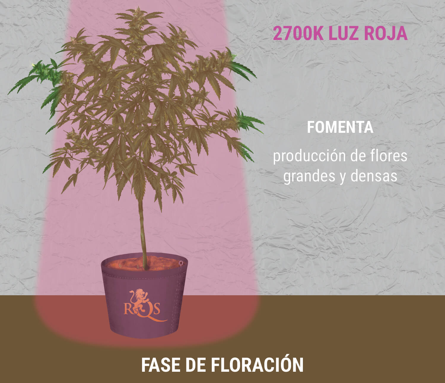 2.700K de luz roja durante la floración